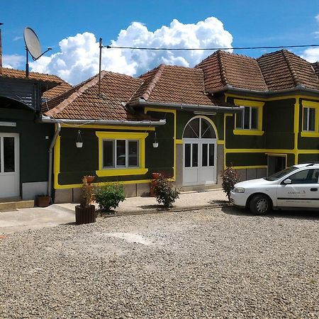 Apartmán Casa Ana Haţeg Exteriér fotografie