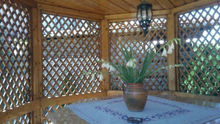 Apartmán Casa Ana Haţeg Exteriér fotografie