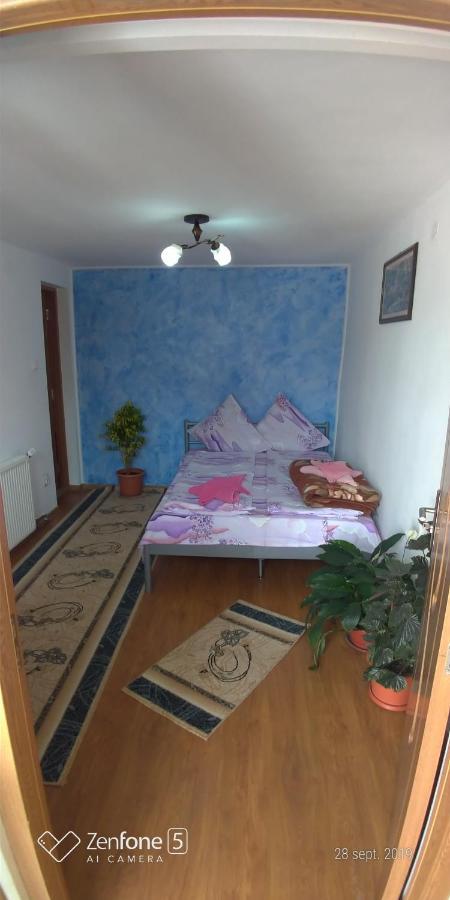 Apartmán Casa Ana Haţeg Exteriér fotografie