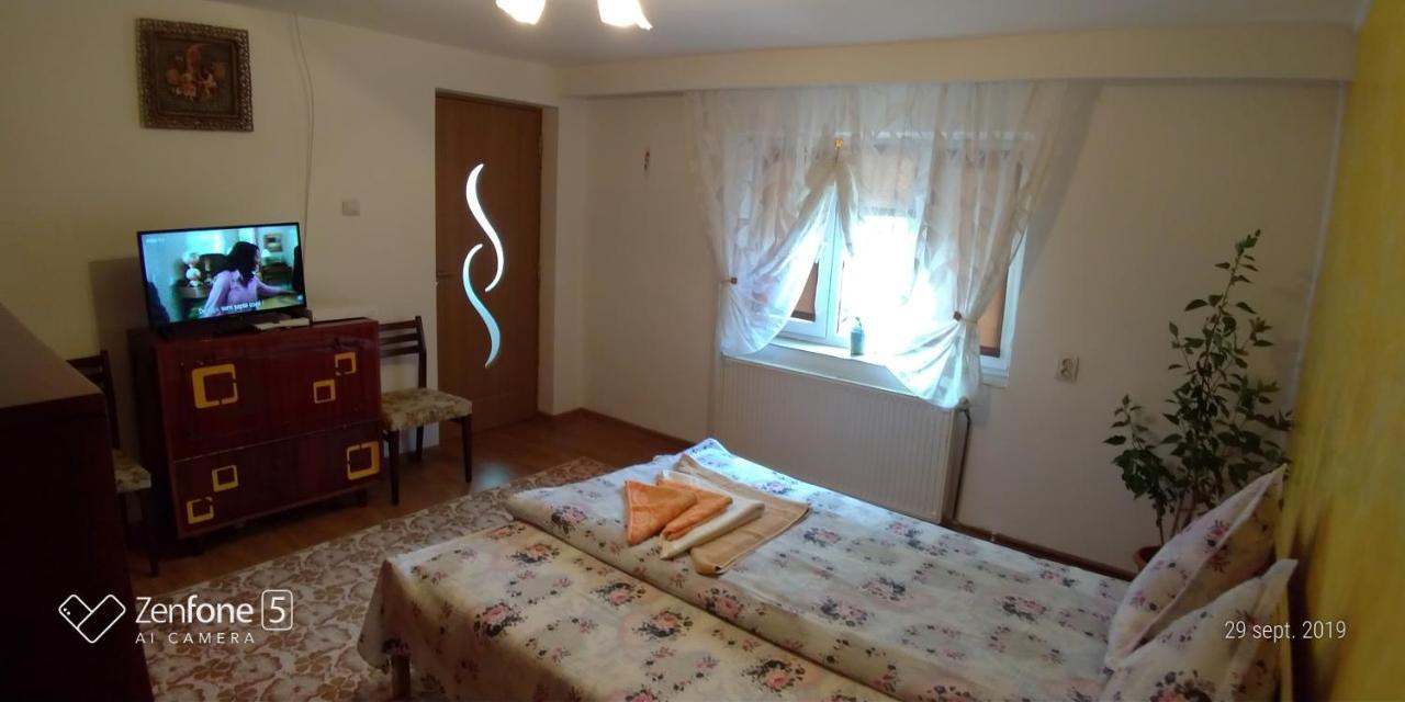 Apartmán Casa Ana Haţeg Exteriér fotografie