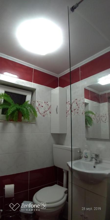 Apartmán Casa Ana Haţeg Exteriér fotografie
