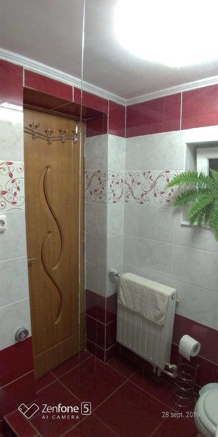 Apartmán Casa Ana Haţeg Exteriér fotografie